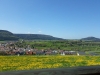 20190501_114455