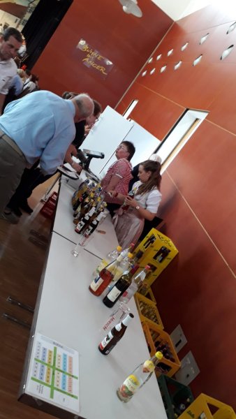 IMG-20191013-WA0006