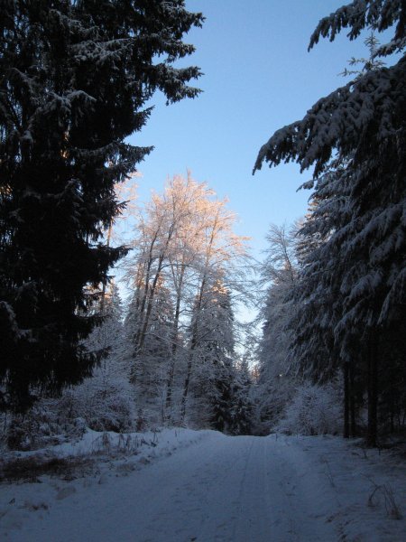 2009_01_03_Winterwanderung_011
