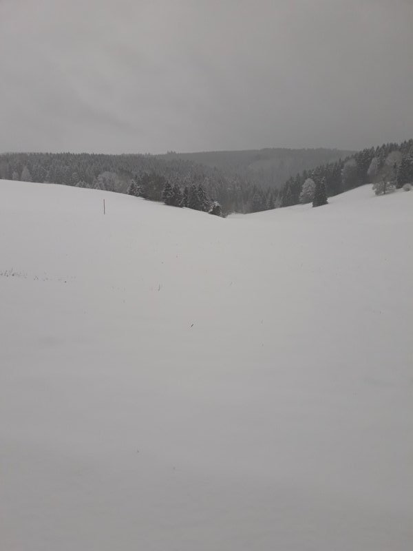 20190105_160756