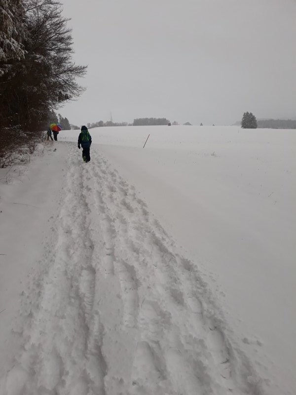 20190105_160758